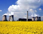 Řepkové pole před jadernou elektrárnou