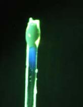 Zacelené samoopravitelné vlákno